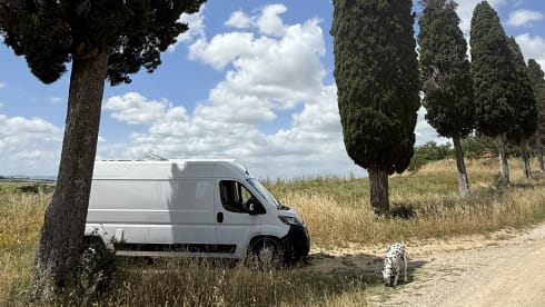 Lykke – Lykke - your happy place on wheels (peugeot boxer van)