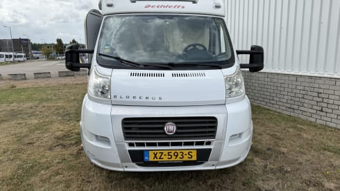 de dolfijn – 3p Dethleffs semi-integrated uit 2010