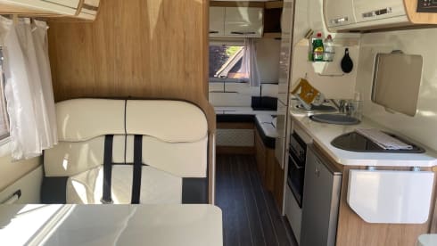 Lopty – 2020 Roller Team Auto Roller 747