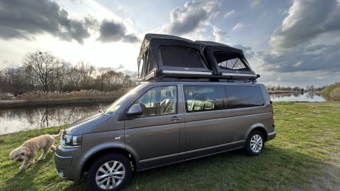 Rooftop party Van  – Happy 4 person Volkswagen party Van.