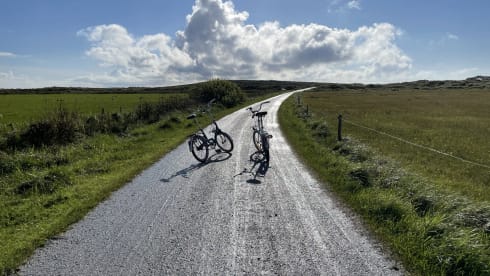 July – Cool fresh retro VW T4