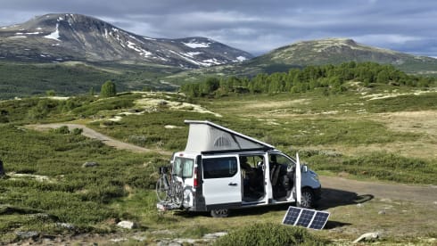  CAMPEREVE – Renault Trafic Mirande – Perfect voor koppels + 1