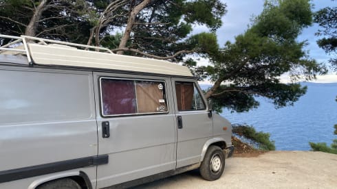 Back to the Past con Merlino - Fiat Ducato 1983