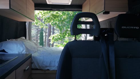 Very neat self-built 2p Fiat Ducato bus from 2016 