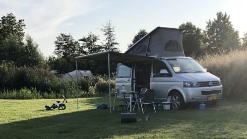 Wali – 4p Volkswagen campervan from 2010