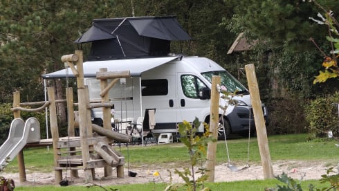 Duc – Minibus Fiat 4 places de 2015