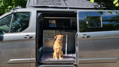 Byron – 4 berth Ford Transit Custom