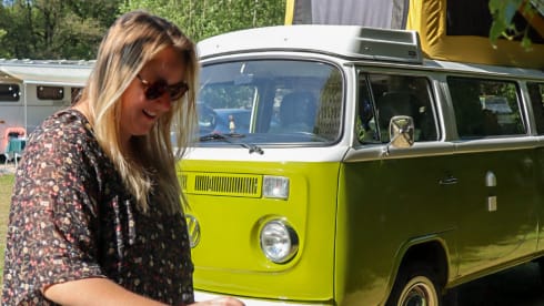 Sanseveria – Volkswagen T2b Westfalia Berlin '77