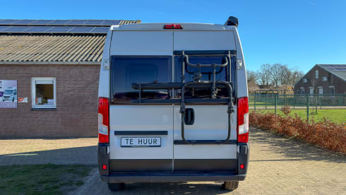 Witte Vlegel – Mclouis Menfys Matic 