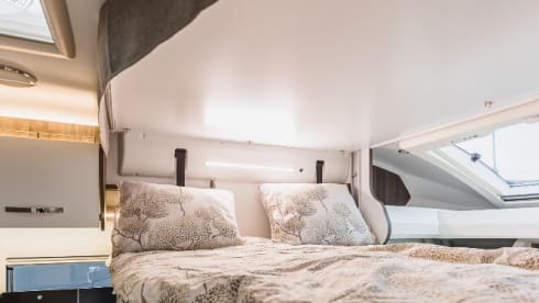 Brand new super equipped Benimar Cocoon 463 automatic