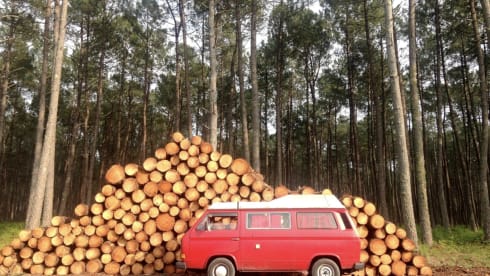 Cherry – Volkswagen Westfalia T3 Combi