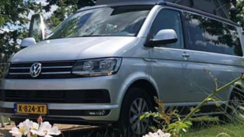 Bulli – Original VW California Ocean T6 auto. Euro6