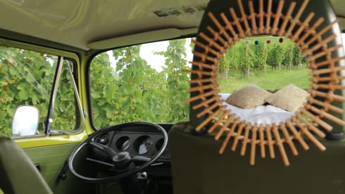 Sanseveria – Volkswagen T2b Westfalia Berlin '77