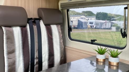 Luxurious and sustainable bus camper (automatic) with light interior and many extras
