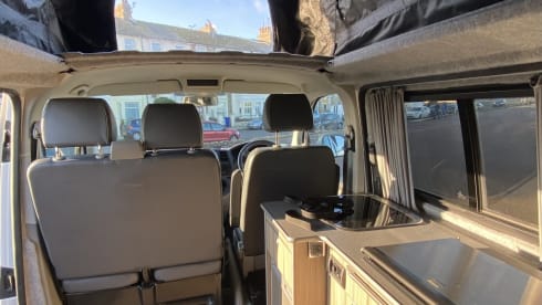 Hector – T5 VW (2012), White Pop-Top (SWB)