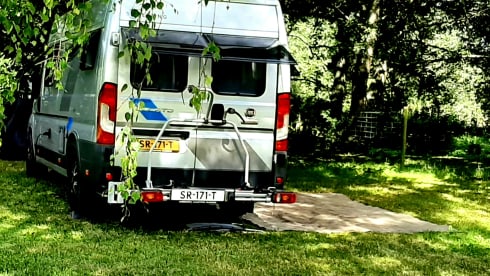 2p Sun Living bus from 2018