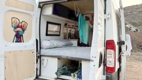 Gas Gas – Pegeout Boxer