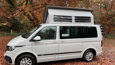 Bilbo – (VW001) 2021 VW T6 2 berth Bilbo's Camper van with heating