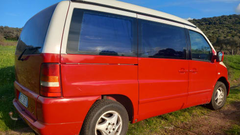 VANTASTIK RENTAL CAMPERVAN – MERCEDES MARCO POLO - VANTASTIK RENTAL CAMPER