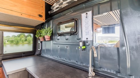Copito – 3p Other bus from 2015