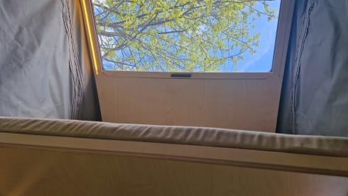 Ohm Sweet Ohm – Volkswagen ID Buzz - 100% electric