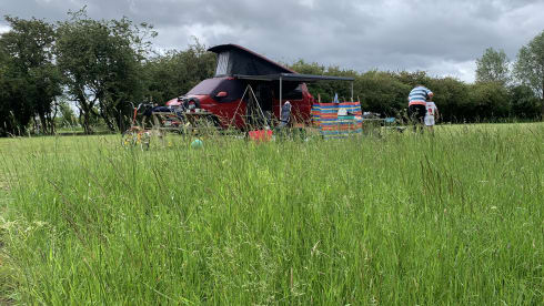 Tracey – Big VW Transporter - sleeps 4 + a child