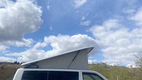 hamish – 2 berth Volkswagen campervan from 2010