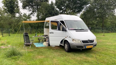 Albino – 3p Mercedes-Benz bus from 2003