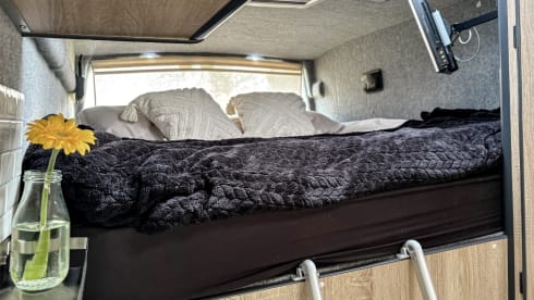 Hugo Away – Ford Transit Jumbo (Insurance included)