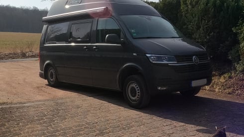 Momo – Wedges Unnecessary! Intelligent air suspension in the VW T6.1