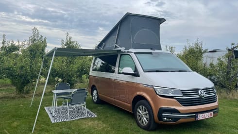 VW California Ocean T6.1 2022