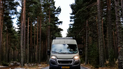 Opkoers – Discover your course together in nature