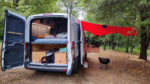 ons busje – 2p Ford bus uit 2015