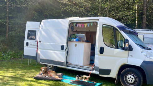 Tutu – Self-sufficient, cozy van in boho style