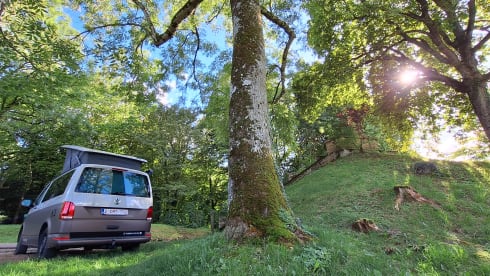 CALI Brown Grey – Volkswagen California COAST Brown/AscotGrey (2021)