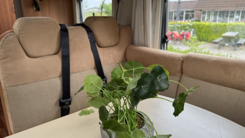 Camper Champagne – Hymer T 654 CL Exclusive Line