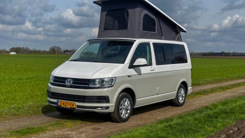Luxury 5 person Volkswagen Camper