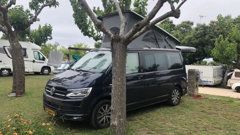 Luxury 4WD VW California (2019)