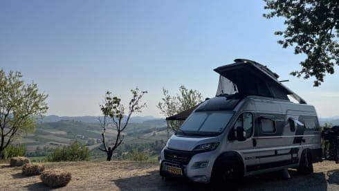 4p Fiat bus from 2022