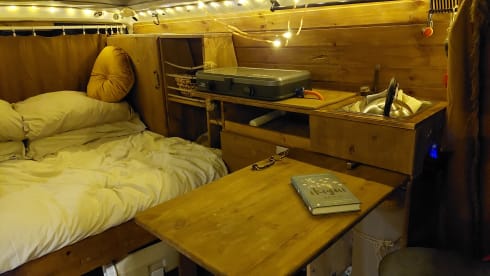 Amerai il nostro bel camper Volkswagen insieme al tuo cane o gatto!