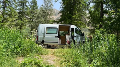 Fred – Cozy Bus Camper Automatic - Takes you everywhere, and back!