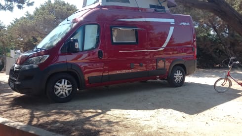 Pössllina – Camper mit 5 Sitzen