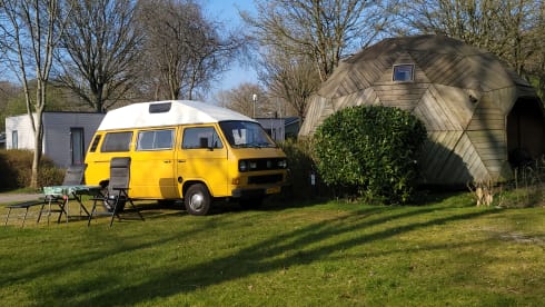 CHICO – cozy, neat, canary yellow oldtimer VW T3 for rent!
