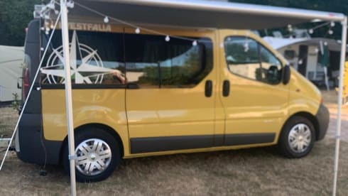 PeiPei – 3/4 seater Renault Trafic from 2003
