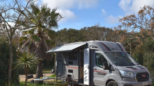 Challenger – Challenger S194 Sport Edition