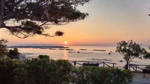 Pietro – Vandaletto - Comfort, Aesthetics, Practicality