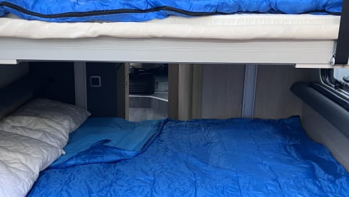 Billy – 4 berth Fiat Expedition 67 Flex 2025 model