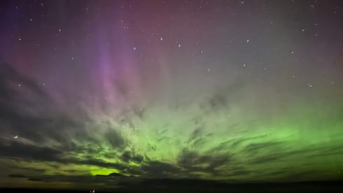 Vinnie  – Campervan in Inverness. Perfect for NC500