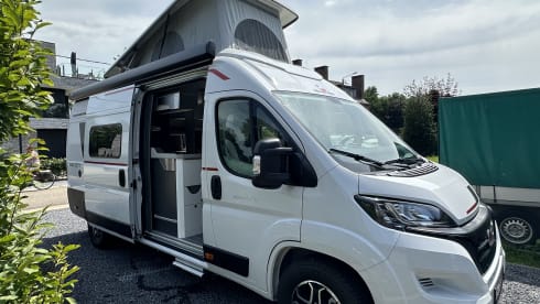 4p Roller Team Livingstone uit 2024 - automaat - Ready to Camp