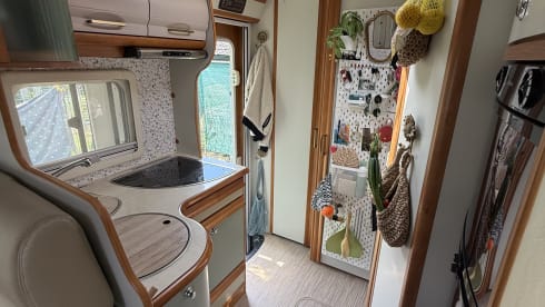 Bella – 4-person Rapido integrated, renovated 